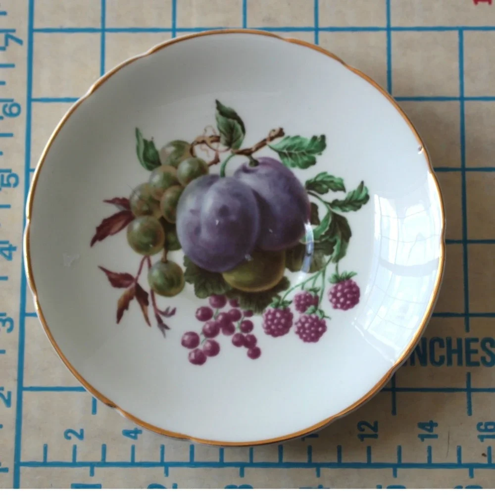 Regency Bone China Fruit Pattern Saucer Made in England Gold Trim Scalloped 5.5